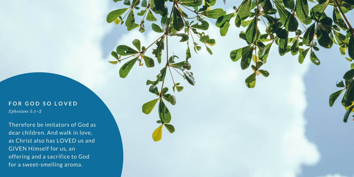 For God so Loved the World